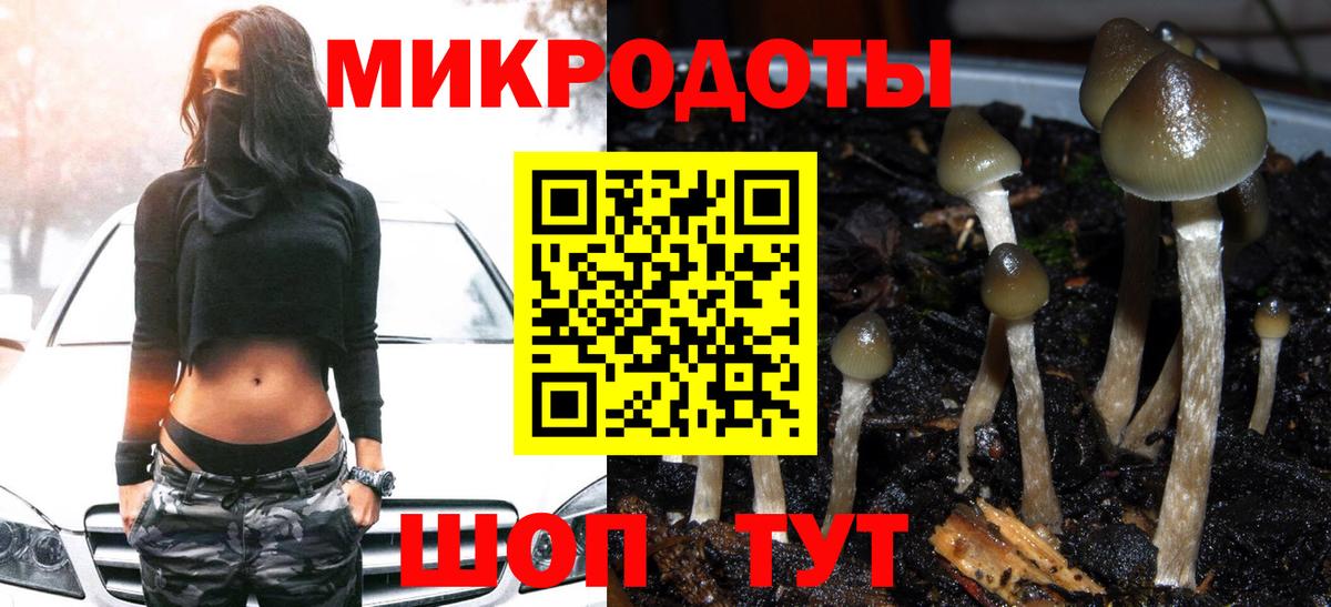 Псилоцибиновые грибы MAGIC MUSHROOMS Мытищи
