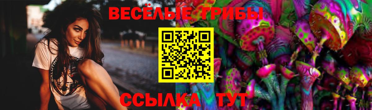 Псилоцибиновые грибы ЛСД  Псилоцибиновые грибы Psilocybine cubensis  наркотики  Мытищи  Вход с VPN 